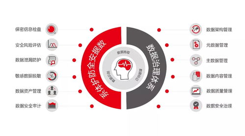 企業(yè)數(shù)據(jù)保護關(guān)鍵領(lǐng)域與數(shù)據(jù)處理服務(wù)選擇指南