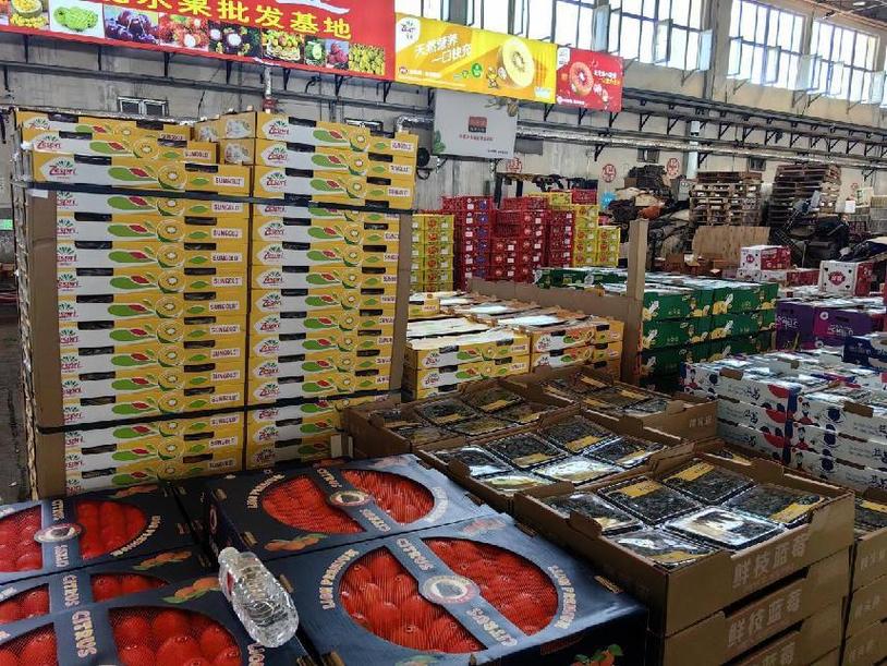 新疆九鼎農產品批發市場 筑牢民生保障，貫通絲綢古道的農產品貿易樞紐