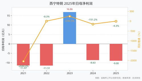 西寧特鋼2025年業績亮眼 營收59.23億元，凈利潤9.00億元，產量增長與供應鏈管控雙輪驅動
